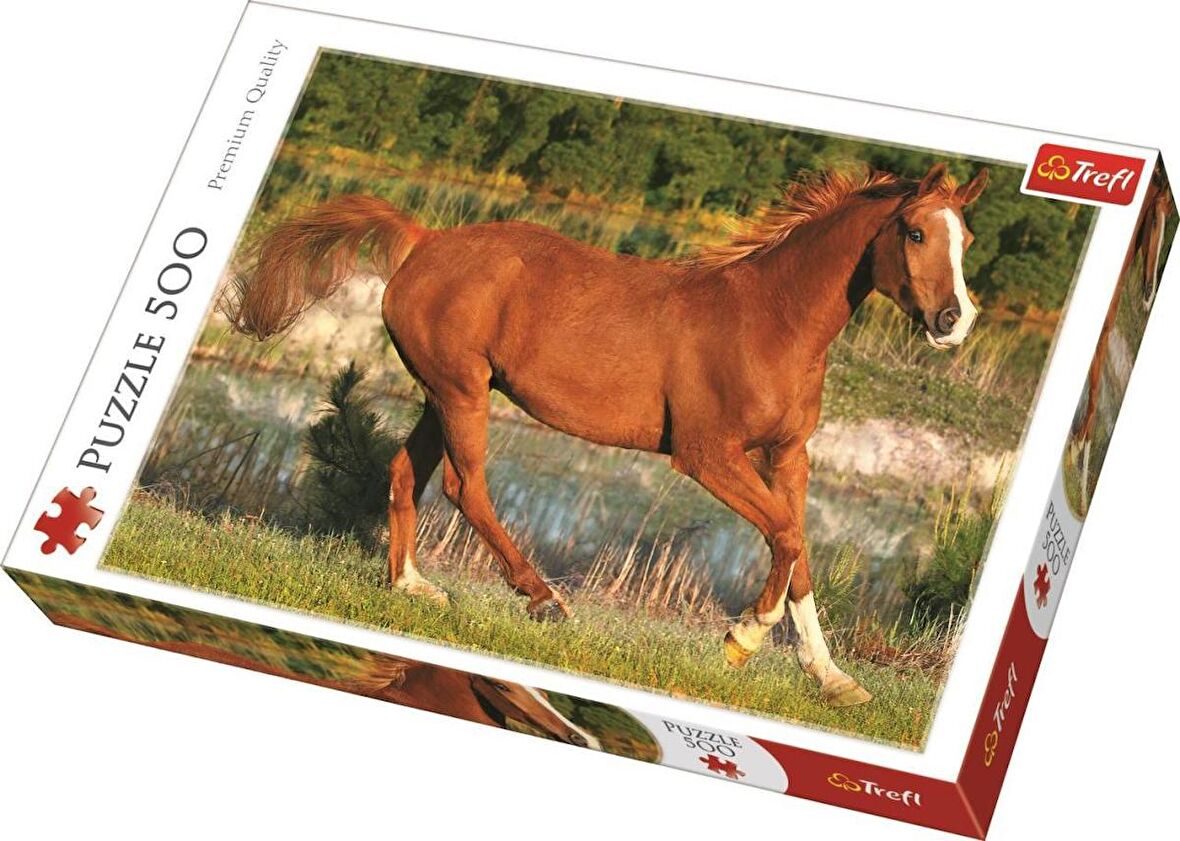 Trefl The Beauty of Gallop 11+ Yaş Orta Boy Puzzle 500 Parça