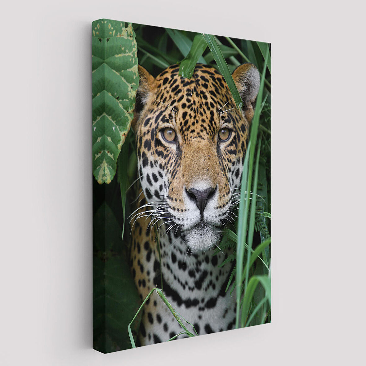 Leopar Dekoratif Kanvas Tablo-5960