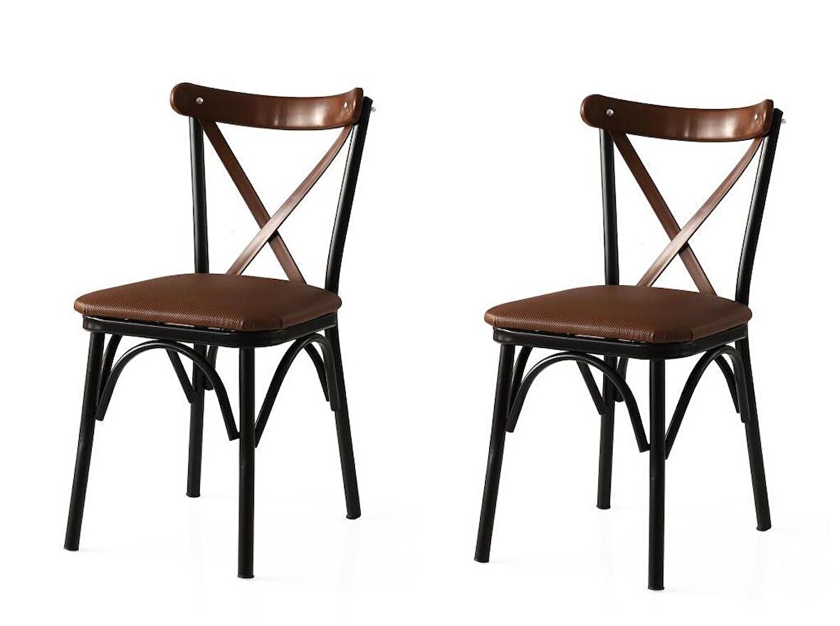 Bahar Mutfak Bahçe Cafe Sandalyesi 2 li Set