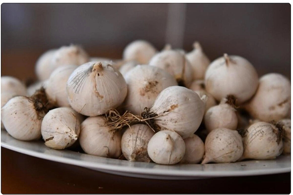 DAĞ SARIMSAĞI 1 KG