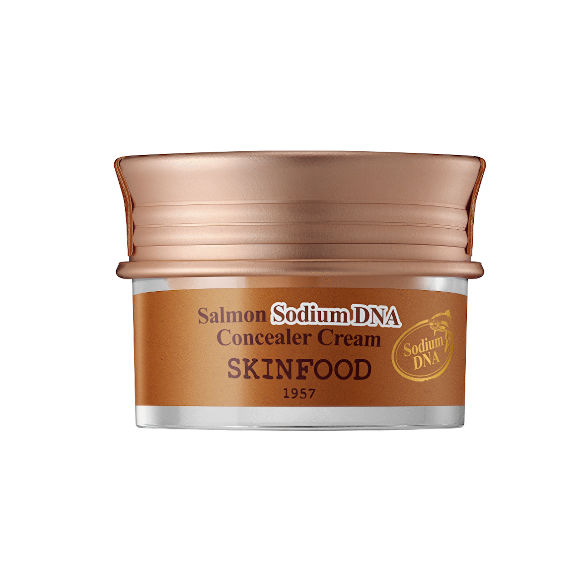 Skinfood Salmon Sodium Dna Concealer Cream No.1 Vanilla 