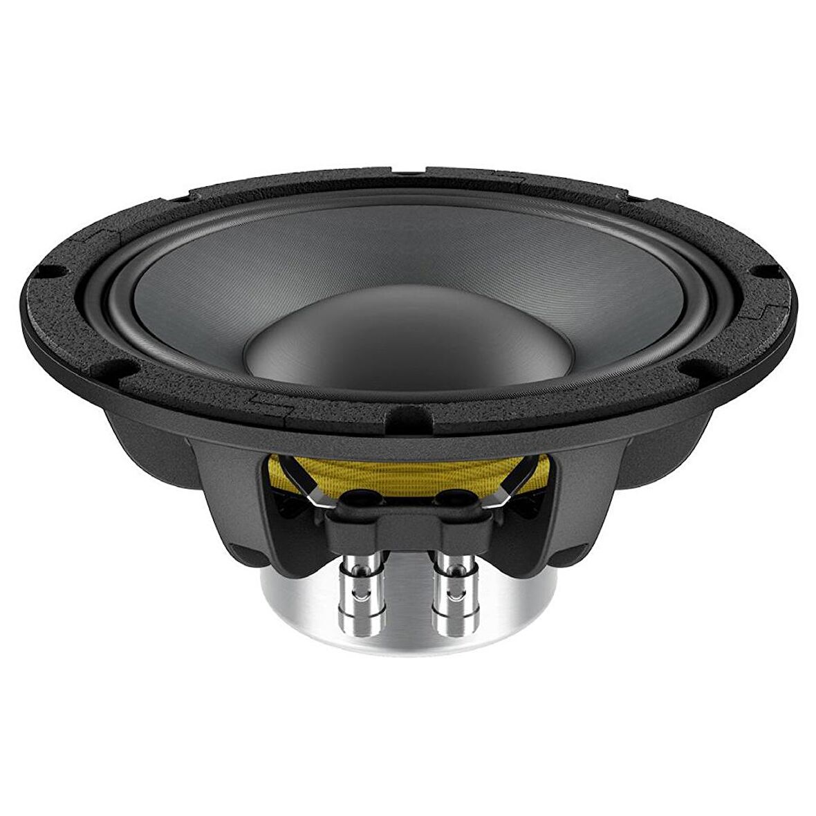 Lavoce WAN082.50 8" Woofer