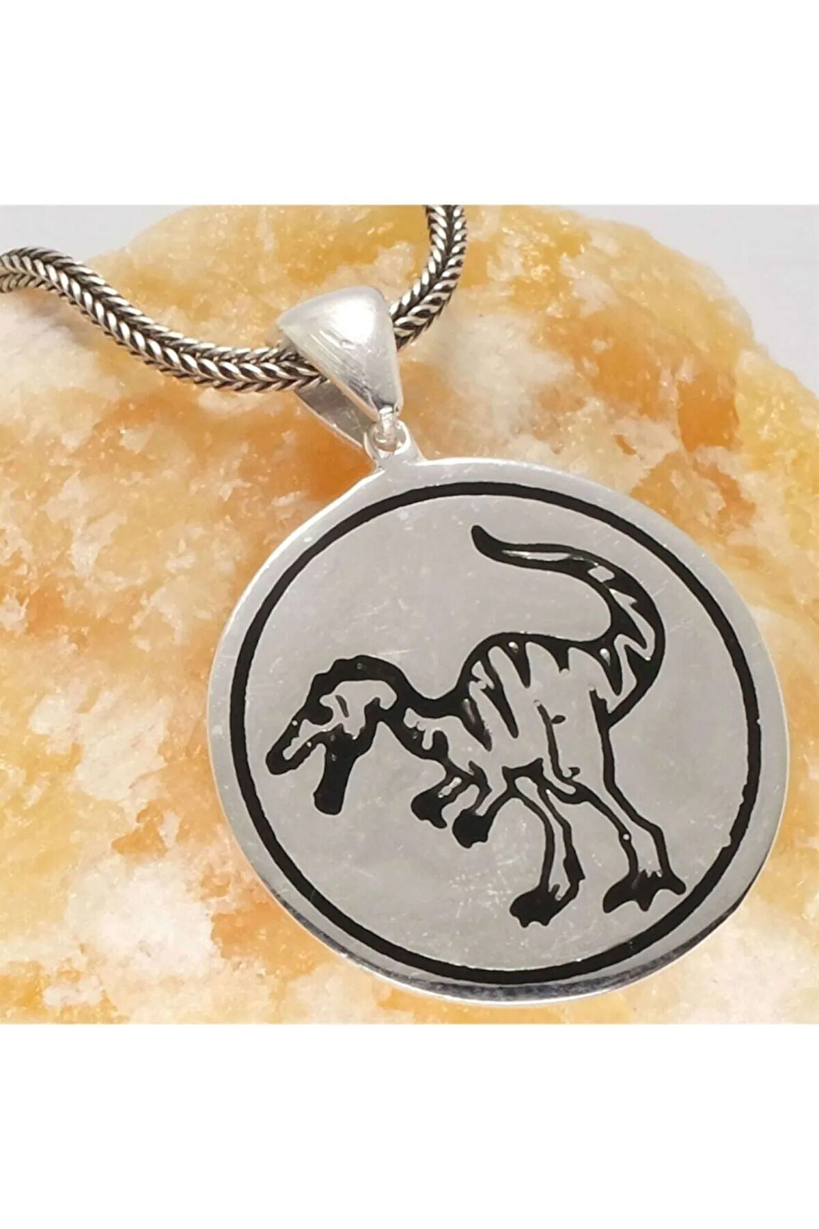Dinozor Erkek Gümüş Kolye Zincir