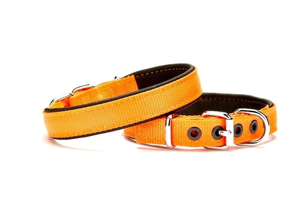 Yumuşak Doku Köpek Boyun Tasması 1,5/35 cm Turuncu