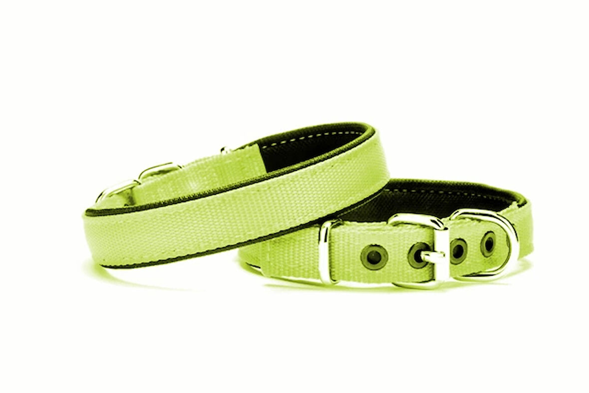 Yumuşak Doku Köpek Boyun Tasması 2/45 cm Yeşil