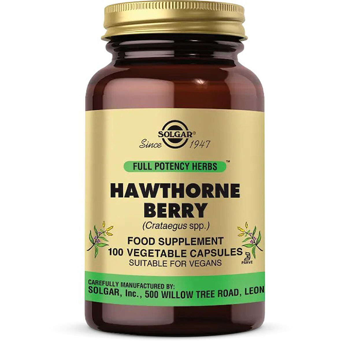 Solgar Hawthorne Berry 100 Kapsül