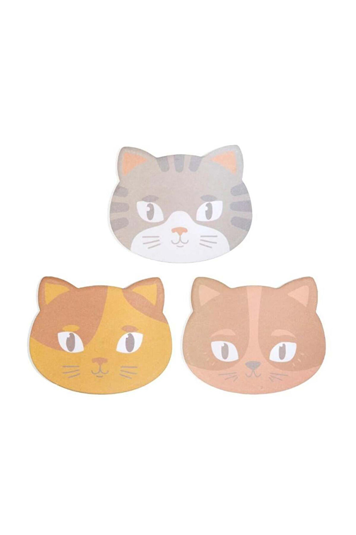 Yapışkanlı Notluk Kedi