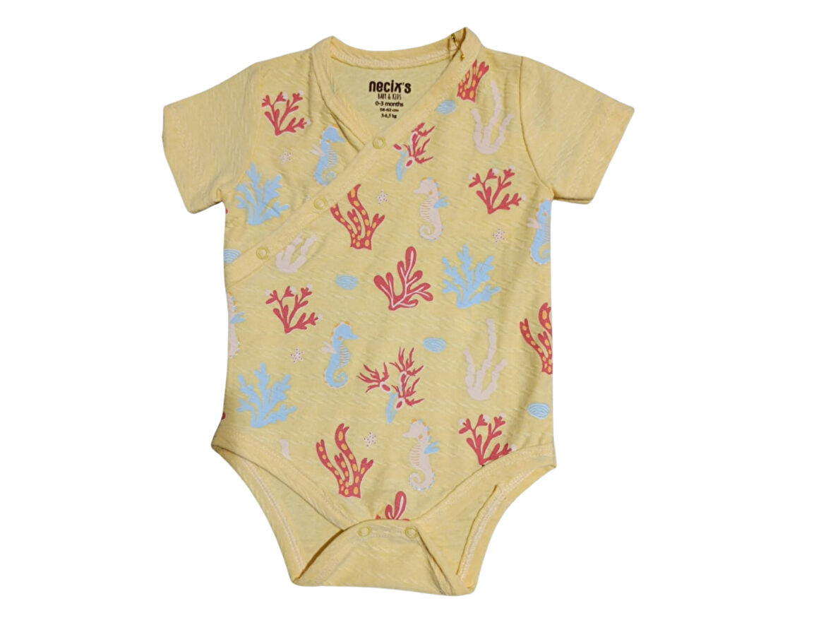 SAFRAN  KIZ BODY (0/3 - 3/6 AY 2'Lİ SET)