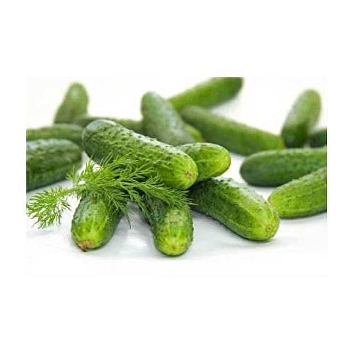 Naz Hıyar Tohumu Turşuluk 10GR 1 Paket