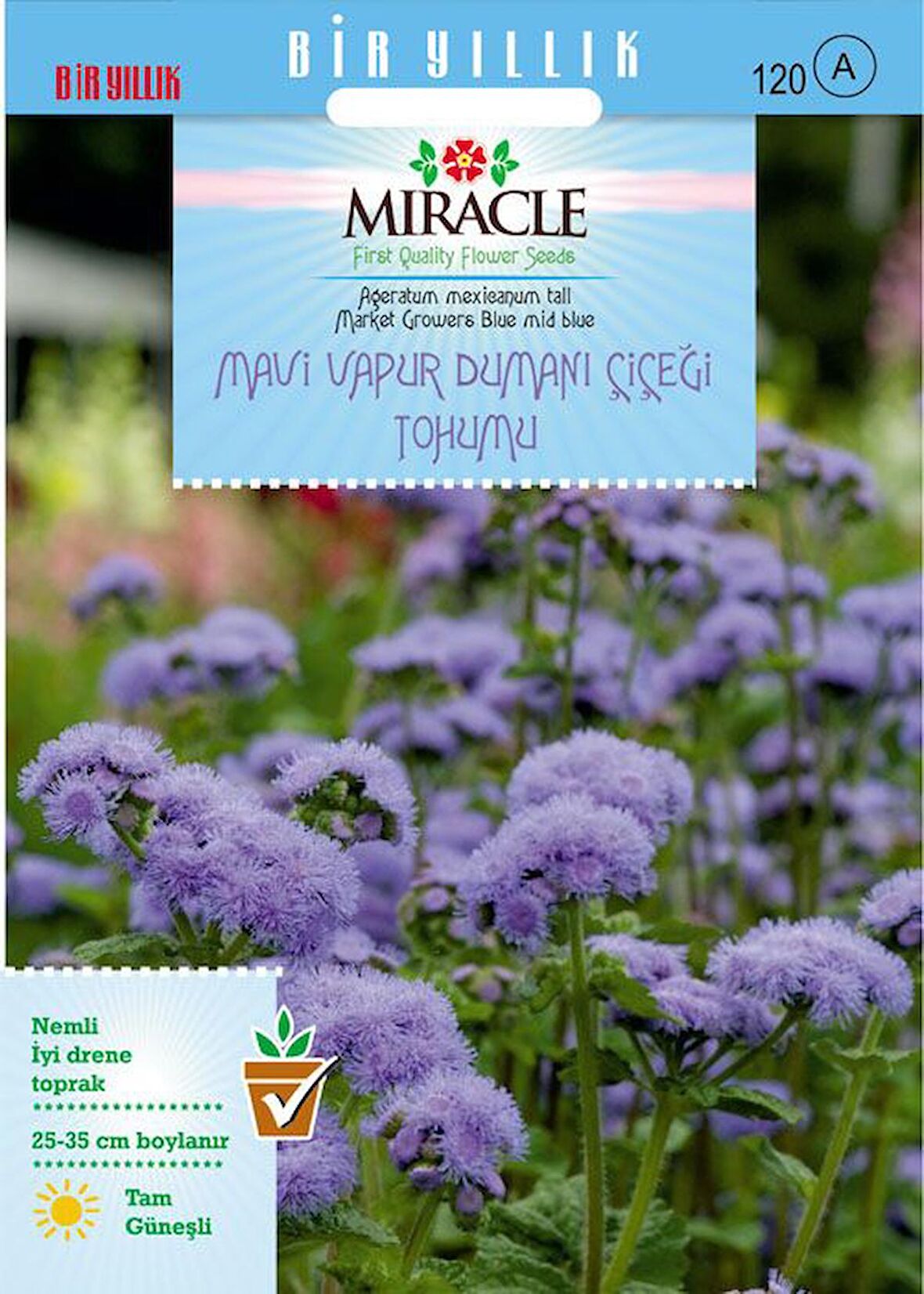 Ageratum Mexicanum Mavi Vapur Dumanı Çiçeği Tohumu (1000 tohum)