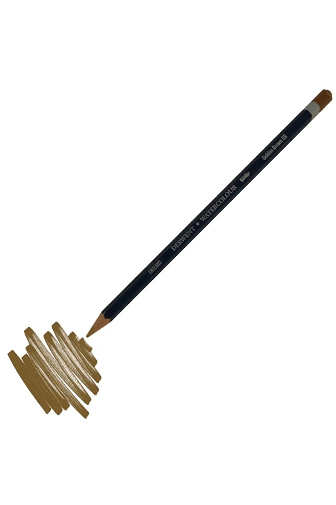 New Watercolour Pencıl- Suluboya Kalemi- Golden Brown 59