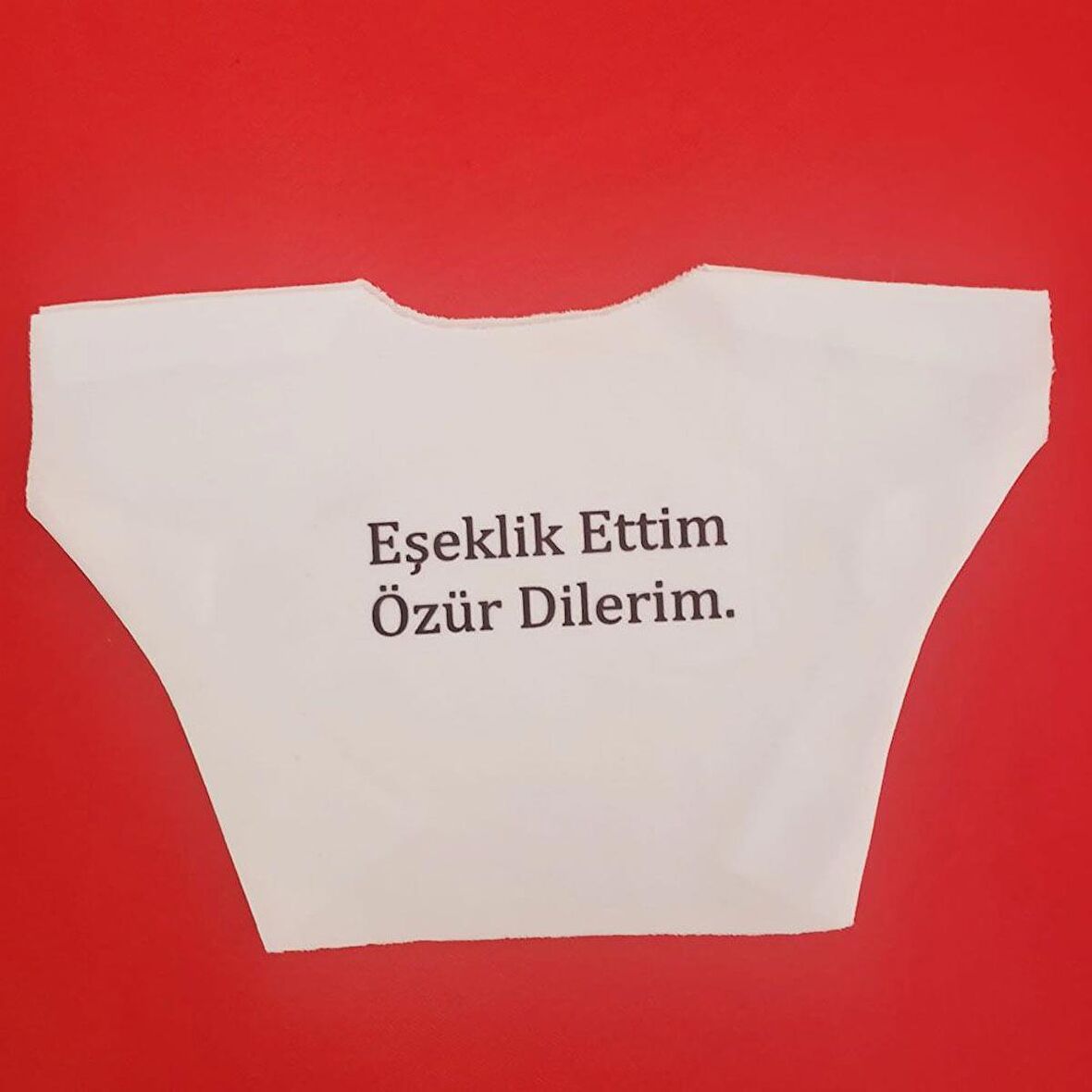 Eşeklik Ettim Yazılı Oyuncak Tişörtü