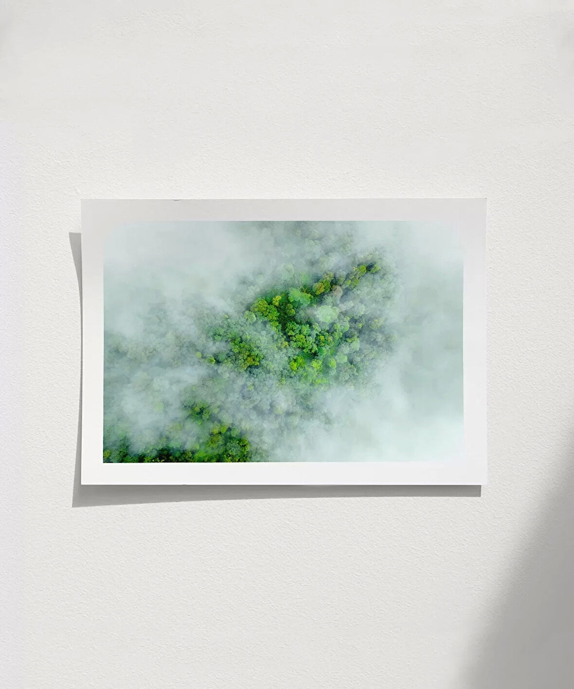 Çerçevesiz Poster Sisli Orman