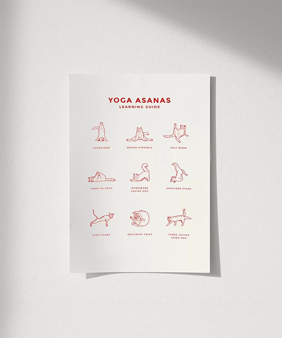 Çerçevesiz Poster Pati Yogası