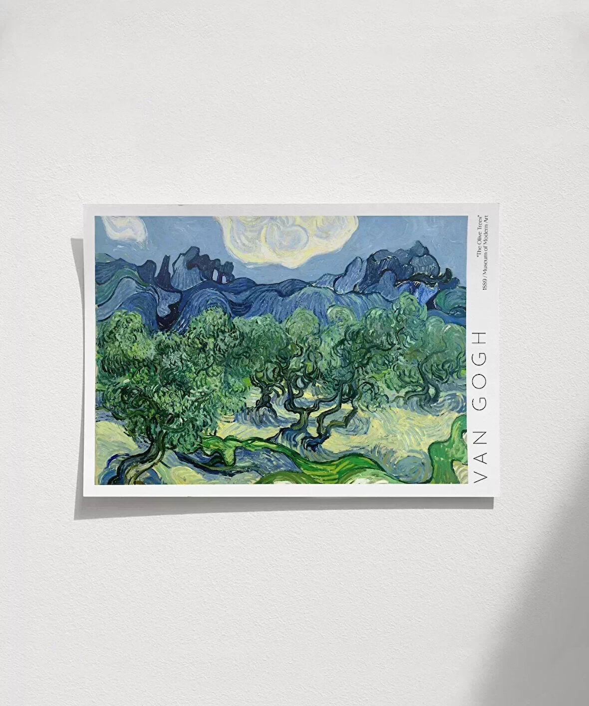 Çerçevesiz Poster Vincent Van Gogh Zeytin Ağaçları (2)