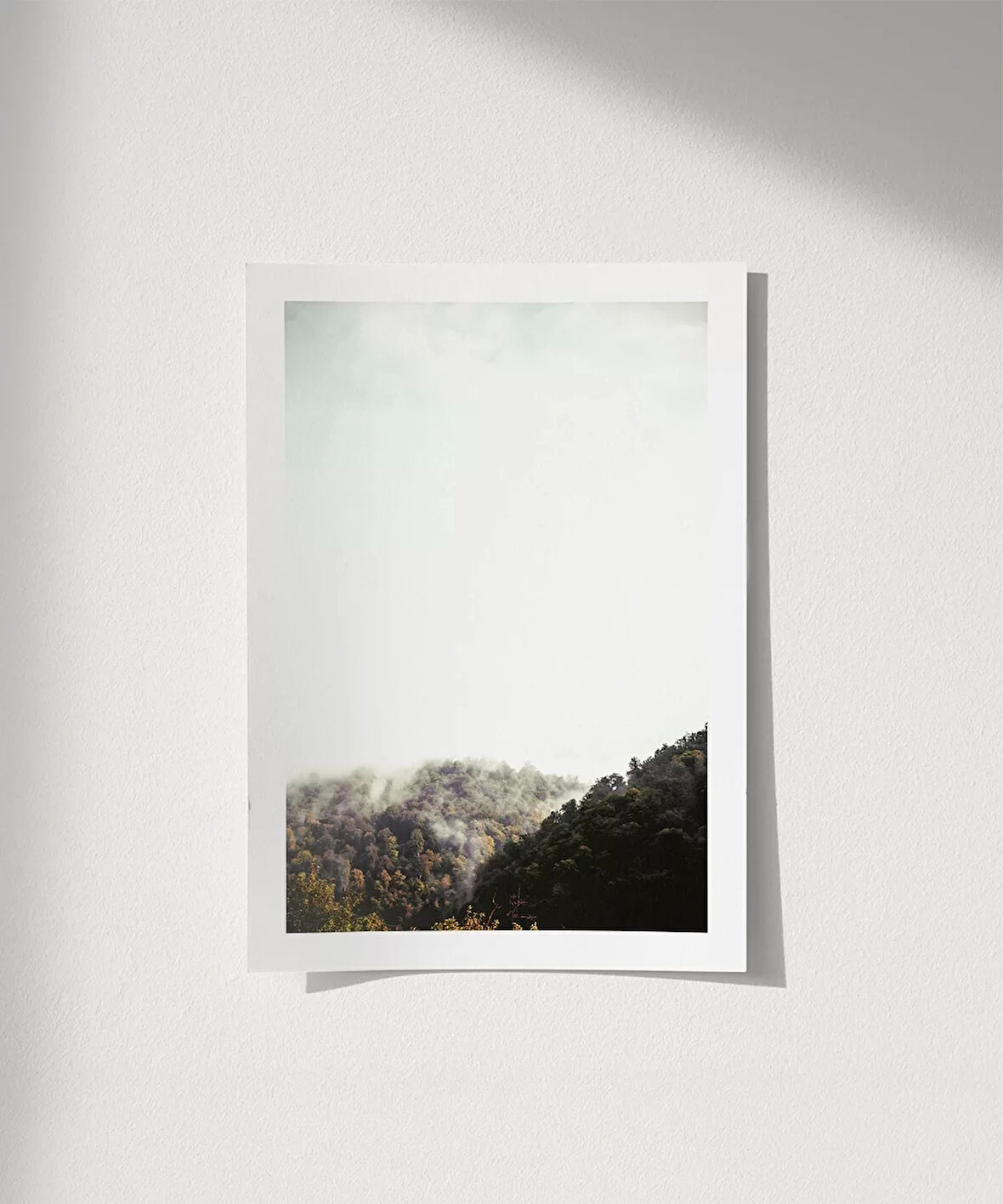 Çerçevesiz Poster Sislerin Ardındaki Orman