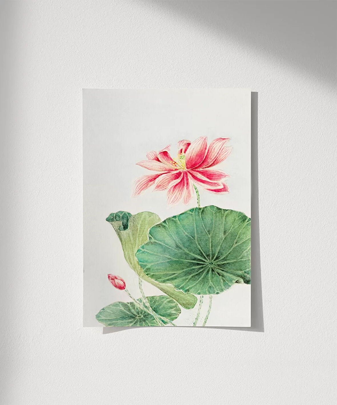 Çerçevesiz Poster Su Üstü Güzellik