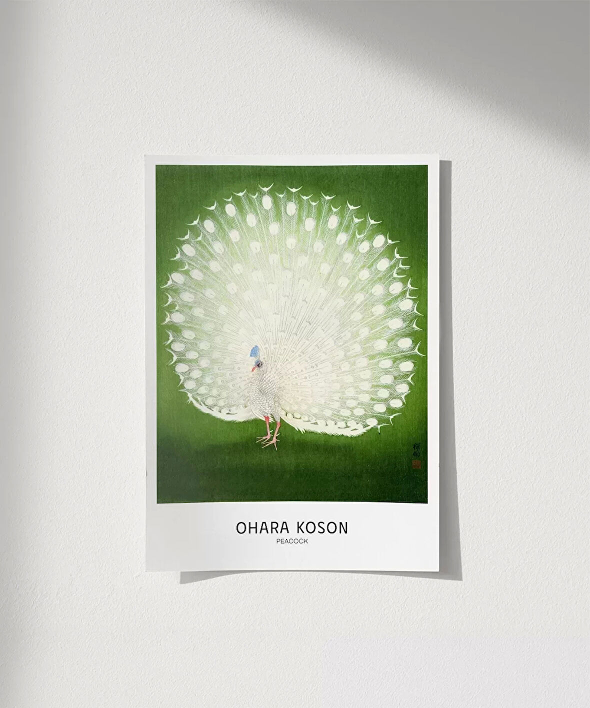 Çerçevesiz Poster Ohara Koson Tavuskuşu