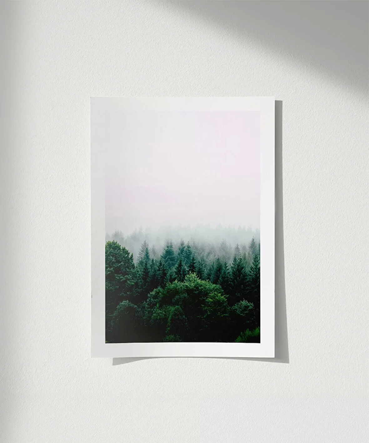 Çerçevesiz Poster Doğanın Gizemi