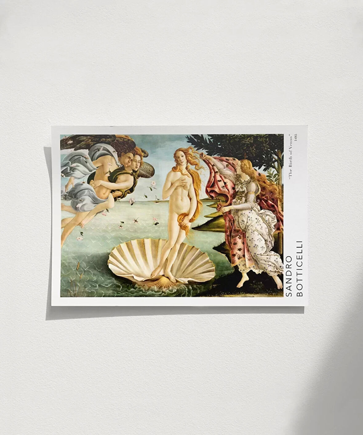 Çerçevesiz Poster Sandro Botticelli Venüs'ün Doğuşu