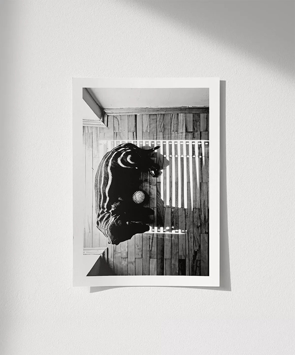 Çerçevesiz Poster Gölge Oyunları