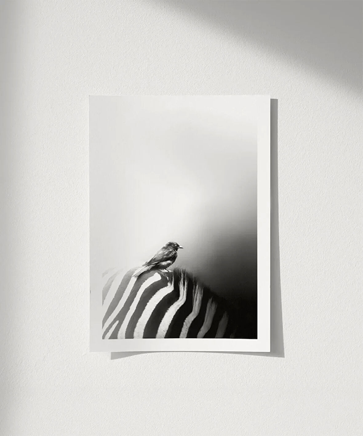 Çerçevesiz Poster Çizgilerin Üzerinde