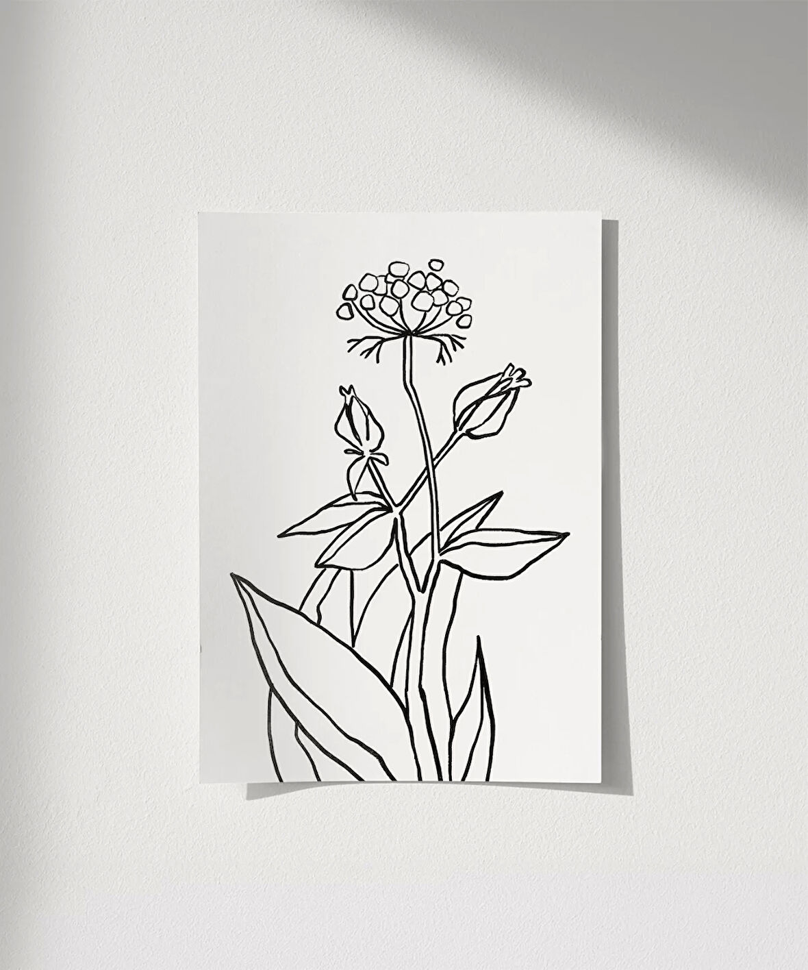 Çerçevesiz Poster Floral Detaylı Doğa Temalı