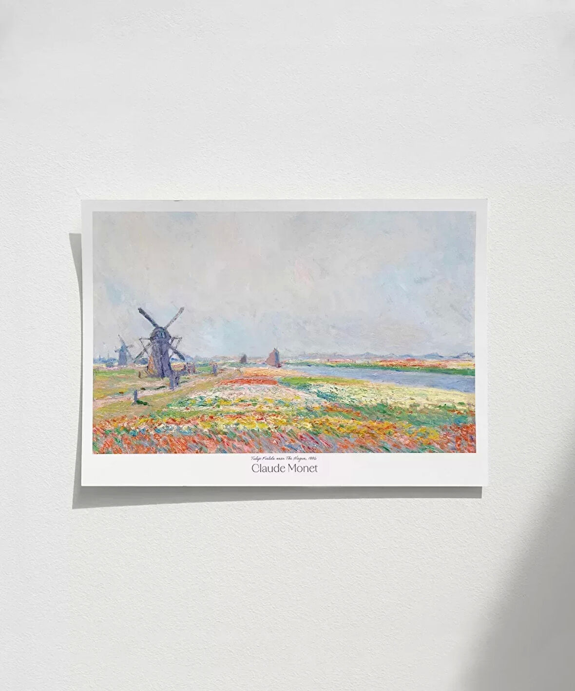 Çerçevesiz Poster Claude Monet Hadue Yakınlarında Lale bahçeleri