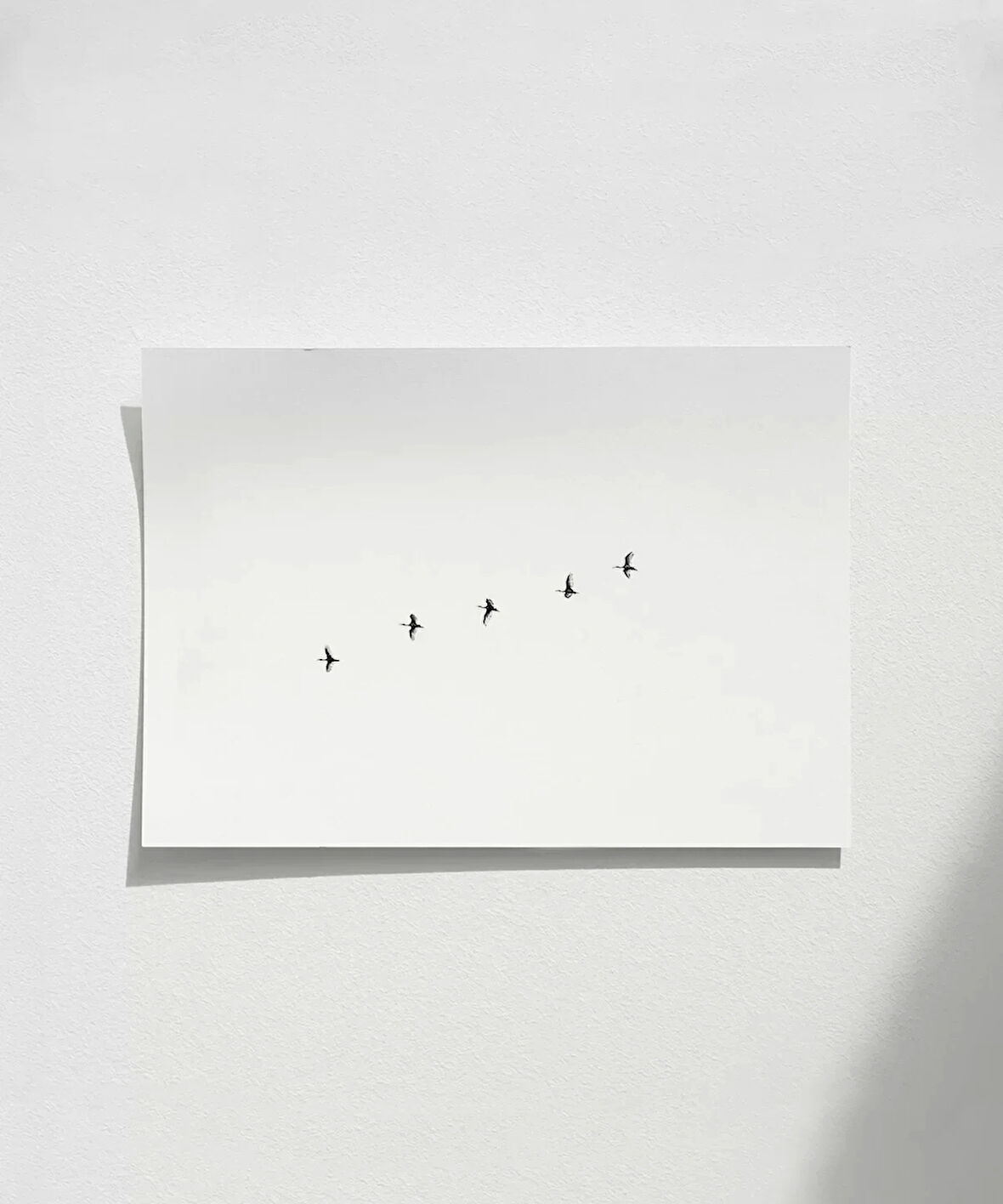 Çerçevesiz Poster Gökyüzünde Özgürlük