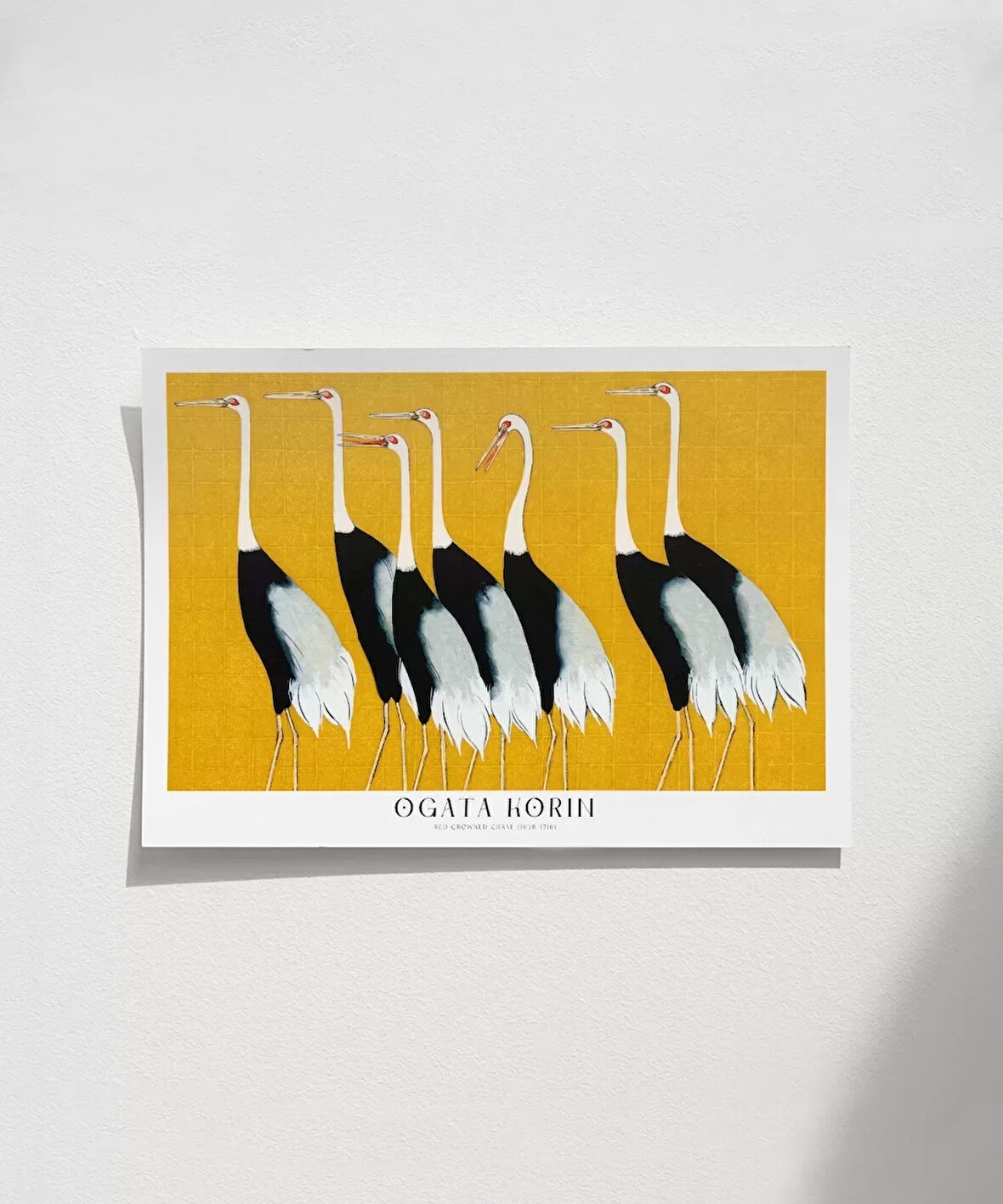 Çerçevesiz Poster Ogata Korin Kırmızı Taçlı Turnalar