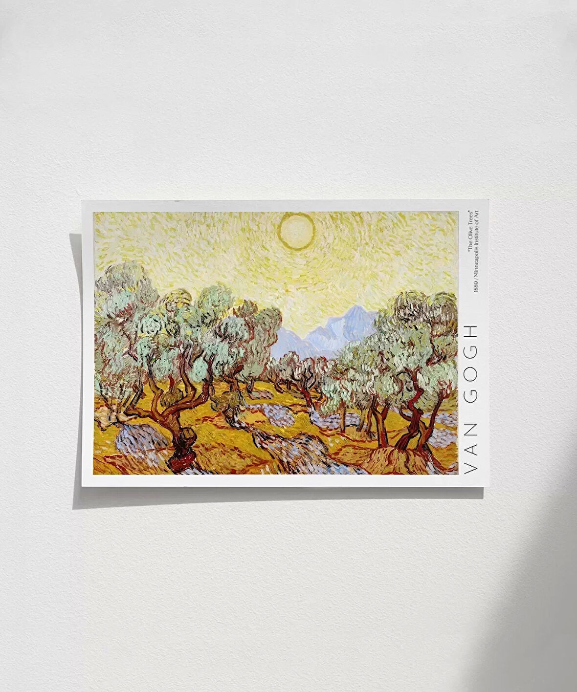 Çerçevesiz Poster Vincent Van Gogh Zeytin Ağaçları