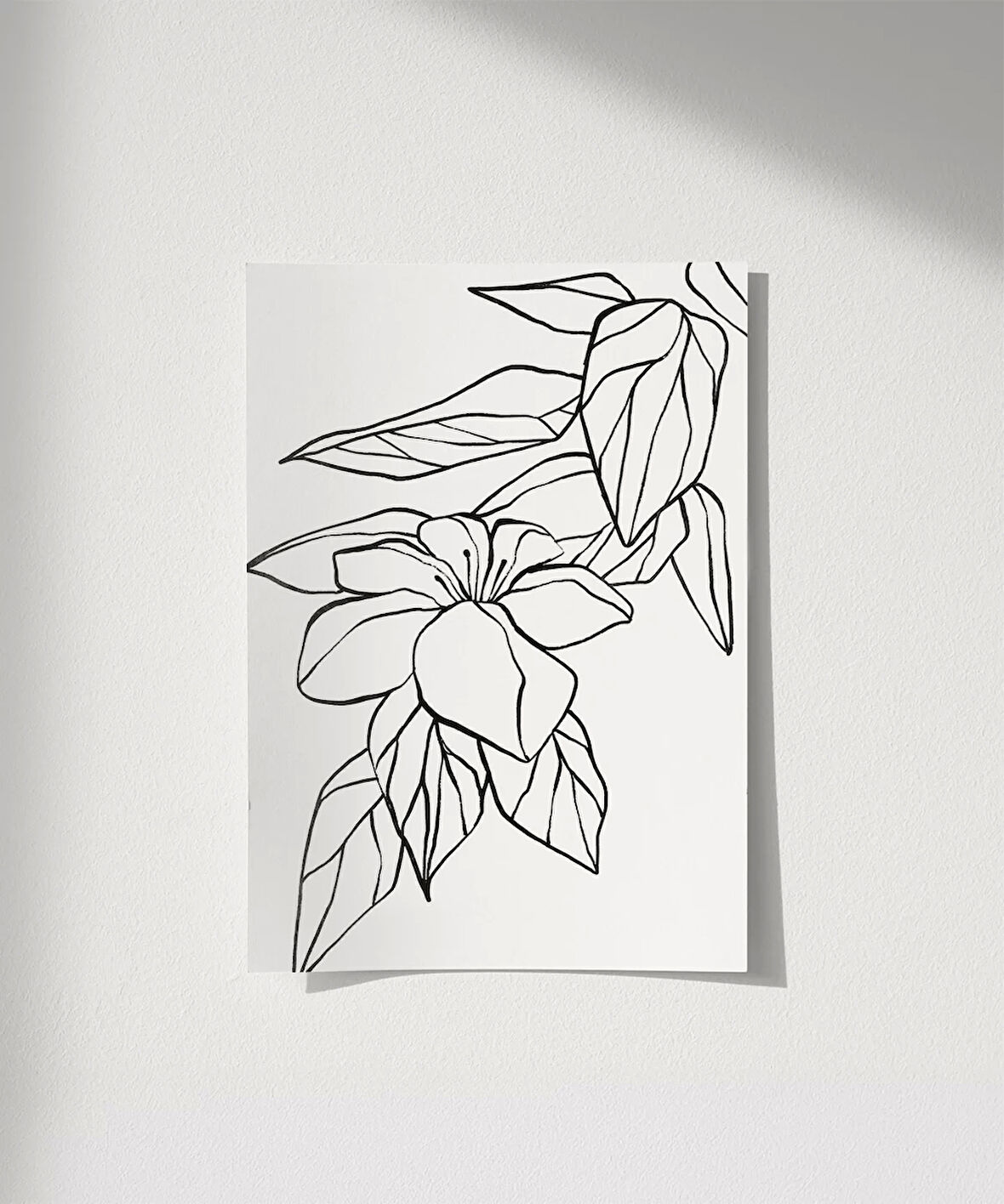 Çerçevesiz Poster El Çizimi Çiçek ve Yaprak Motifli Minimalist