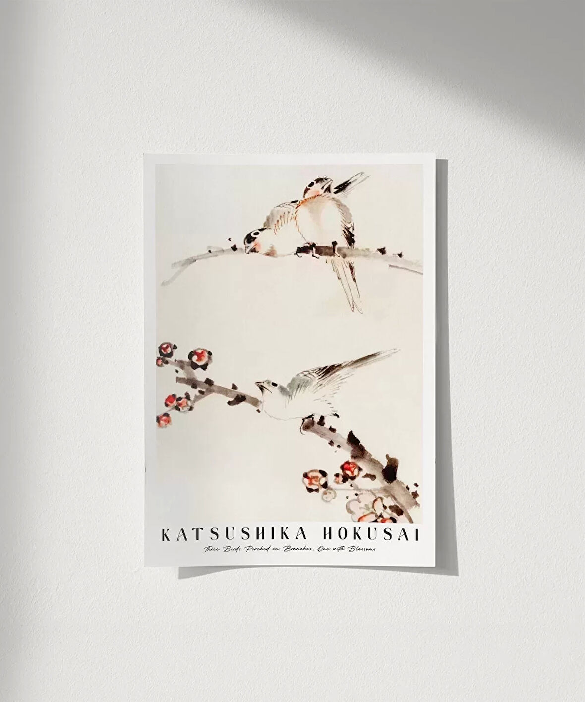 Çerçevesiz Poster Hokusai Dallara Tünemiş Üç Kuş