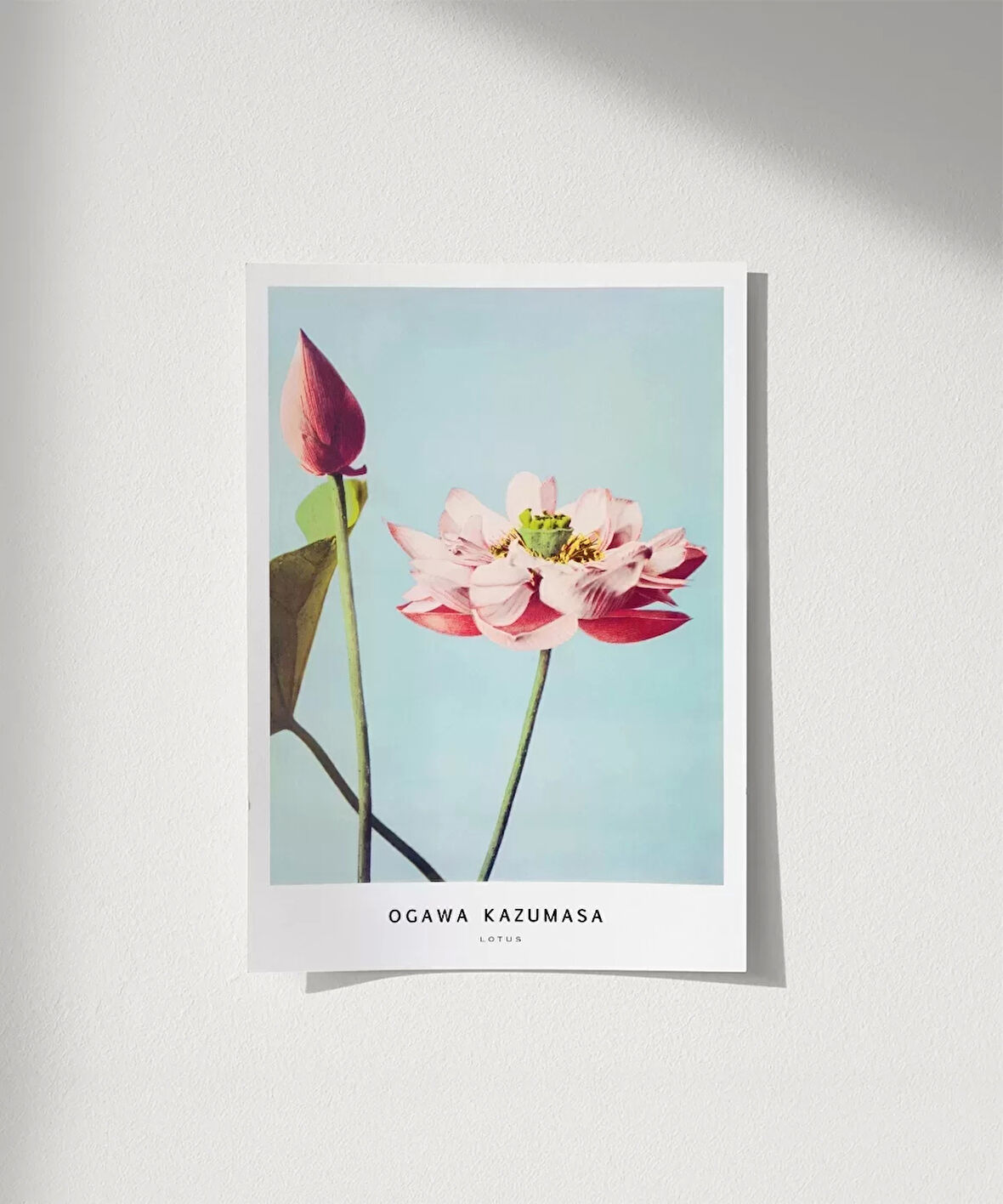 Çerçevesiz Poster Ogawa Kazumasa Lotus