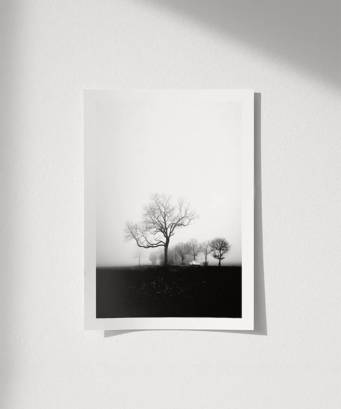 Çerçevesiz Poster Sessiz Bir Sabah
