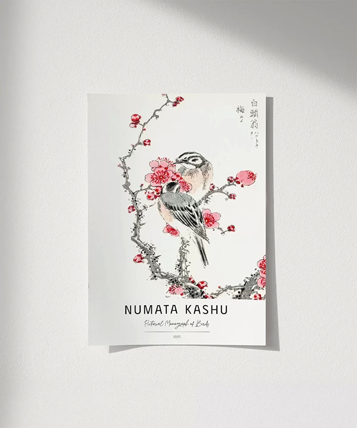 Çerçevesiz Poster Numata Kashu Kuşlar