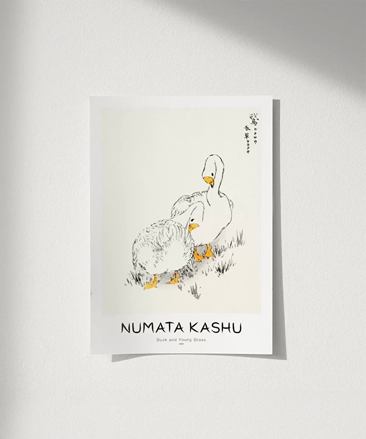 Çerçevesiz Poster Numata Kashu Ördekler ve Çimen