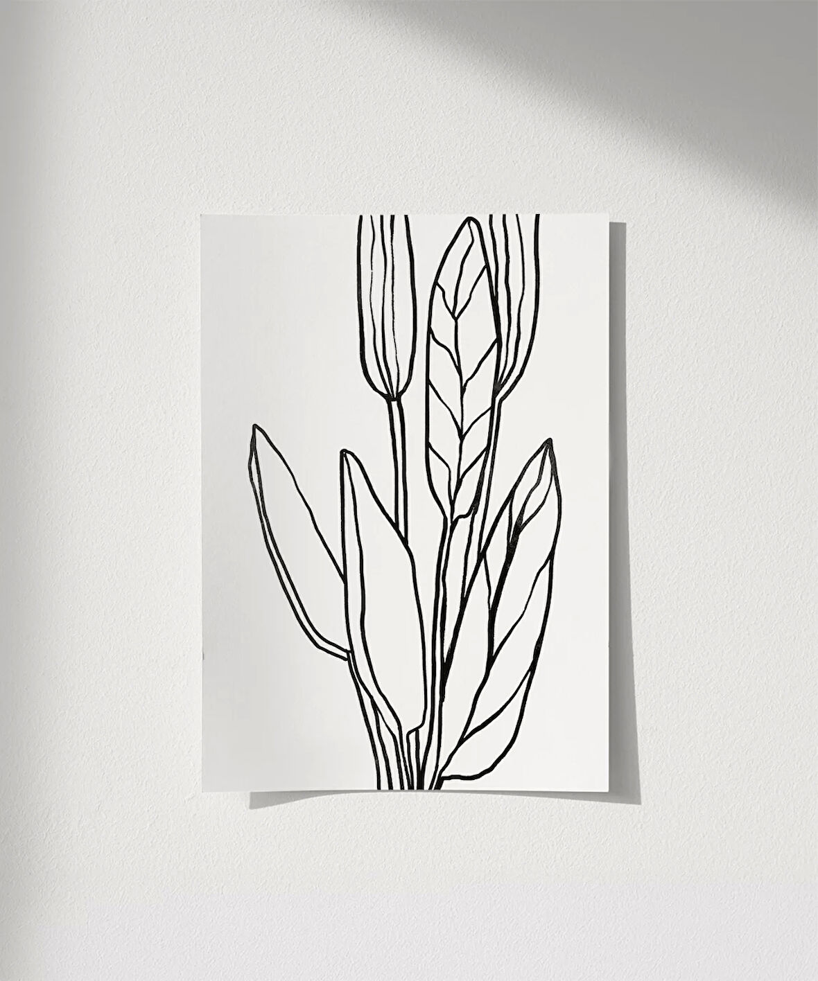 Çerçevesiz Poster Soyut Bitki Formları Grafik Sanat