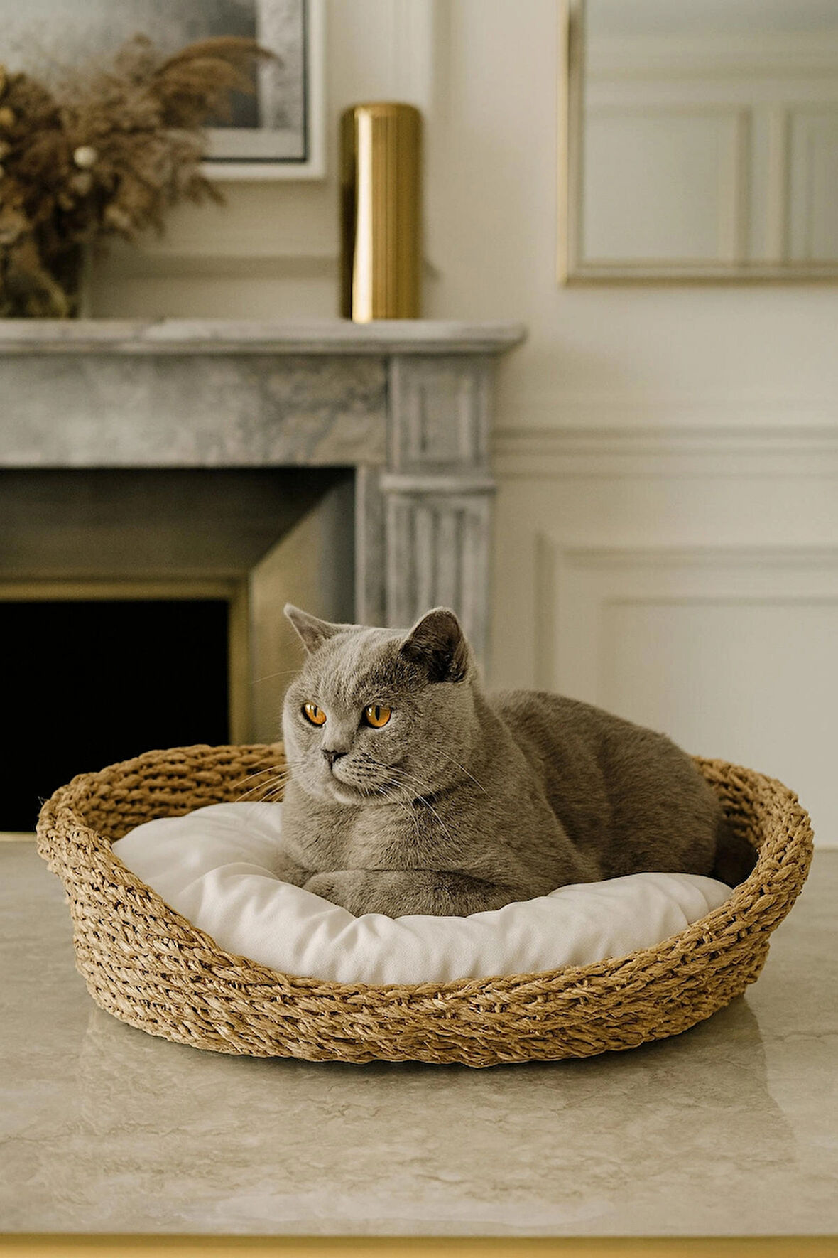 Dekoratif Hasır Kedi Köpek Yatağı Sepet 53cmx40cmx14cm