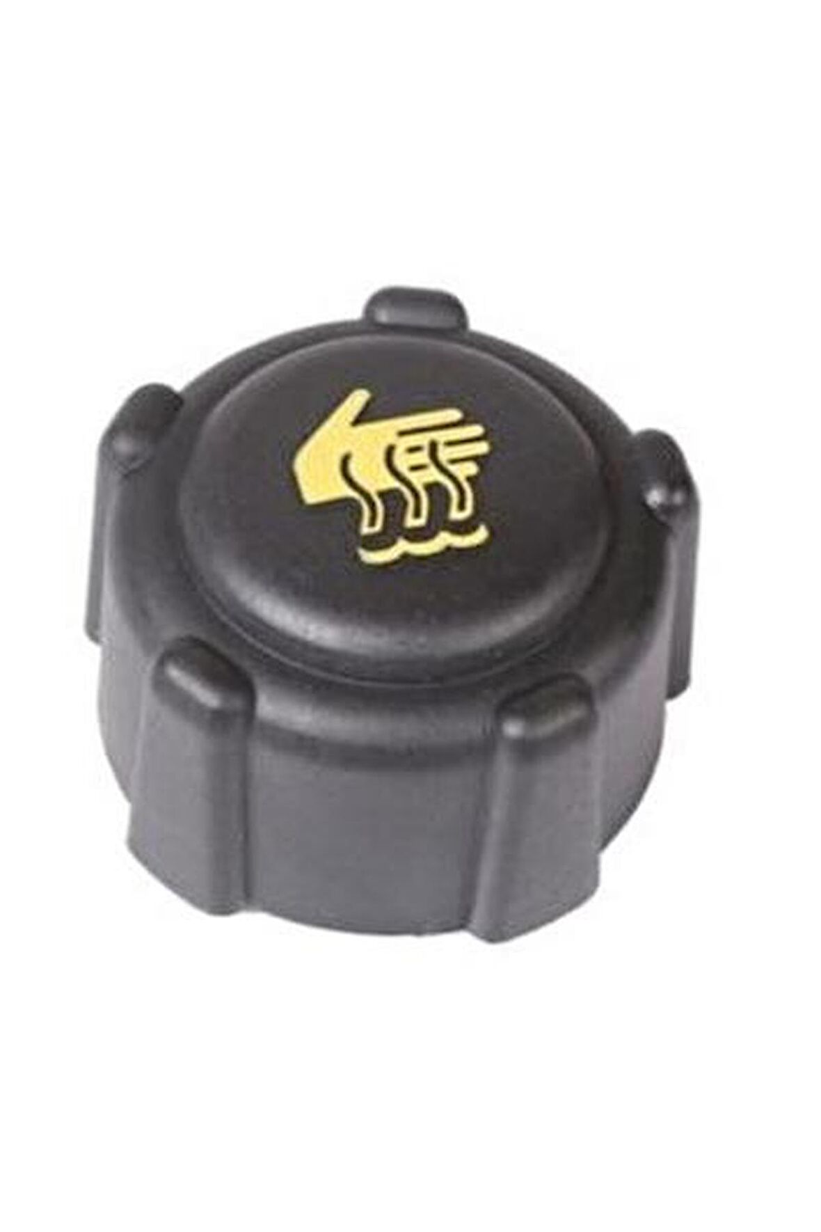 RADYATOR YEDEK SU DEPO KAPAGI CLIO KANGOO MEGANE LOGAN SANDERO KALE 358505