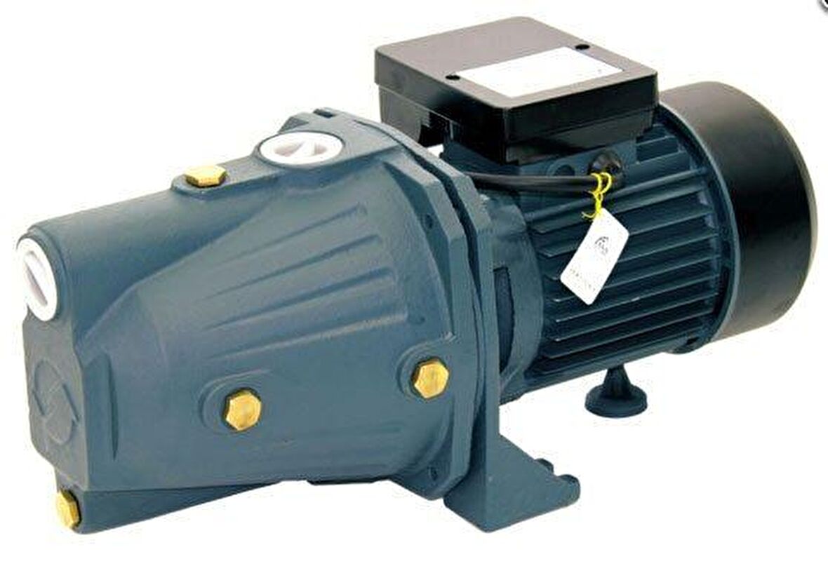 Rainpump SGJW110 Santrifuj Pompa 1.5Hp Bakır Sargılı