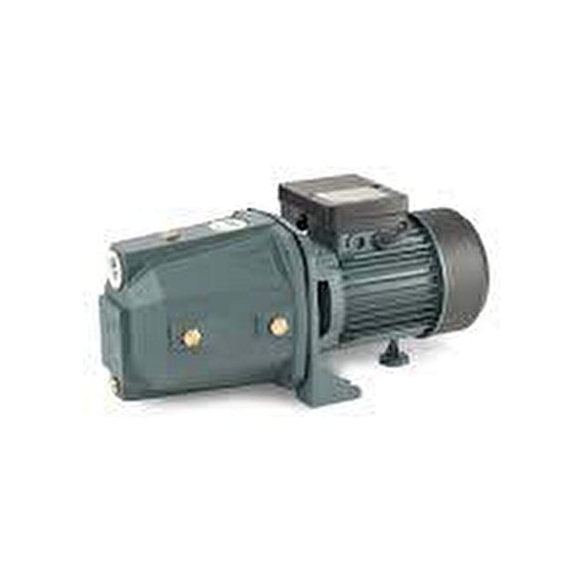 Rainpump SGJW37 Santrifuj Pompa
