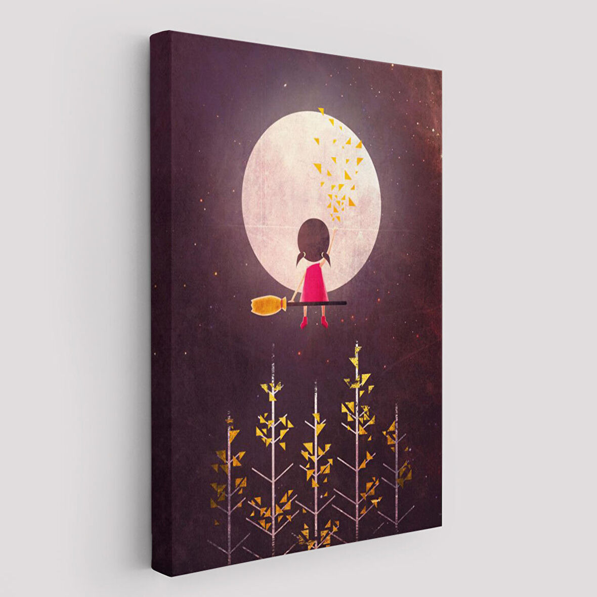 Küçük Bir Gece Gezgini Tablosu-6270