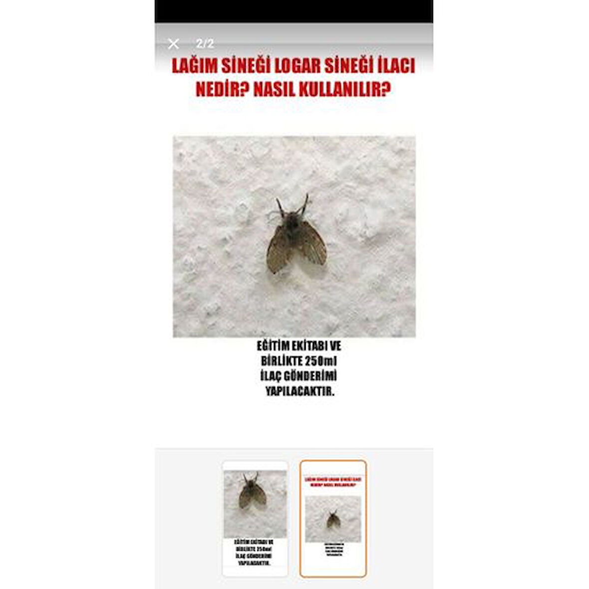 Logar tuvalet sinek ilacı 250ml sıvı ilaç kesin çözüm sağlar banyo lavabo sineği derdine son
