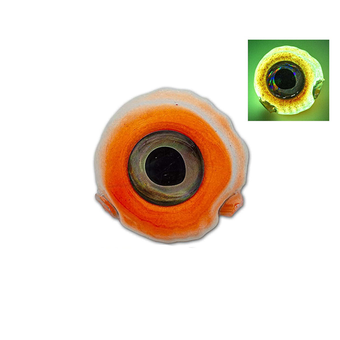 JLC Nautilus 1.0 Tai Rubber Kafa 200gr #04 Orange