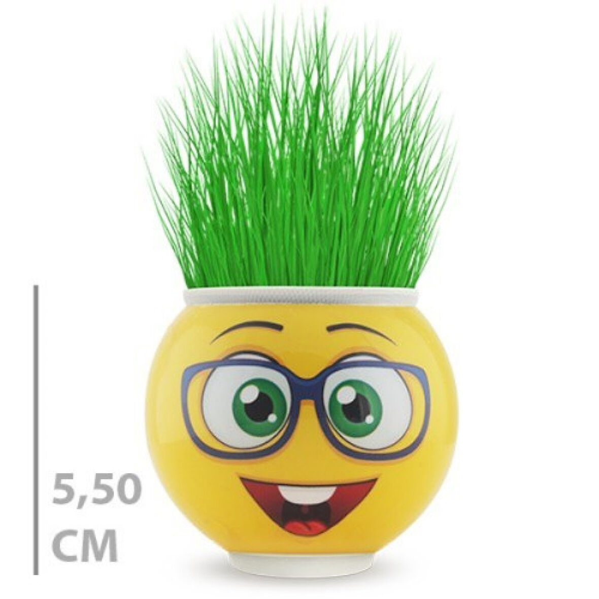 Emoji Figürlü Çim Adam Saksı Masaüstü Çim Yetiştirme Seti, Hazır Tohumlu, Hediye Paketli Çim Adam