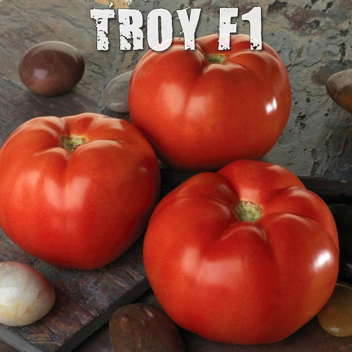 f1 troy domates tohumu 1000 adet % 100  çimlenme.