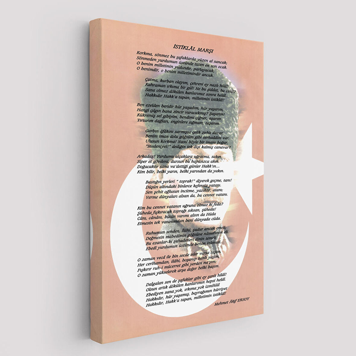 İstiklal Marşı Dekoratif Duvar Tablosu-6466