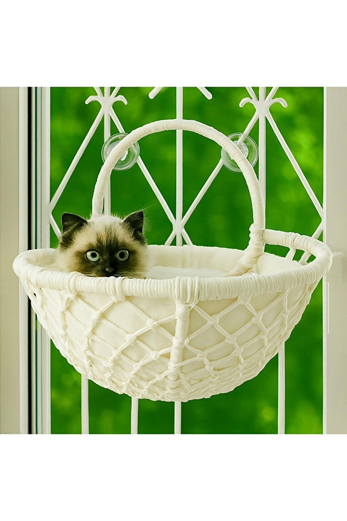 Gezegen Model Kedi Cam Yatağı & & Kedi Pencere Yatağı