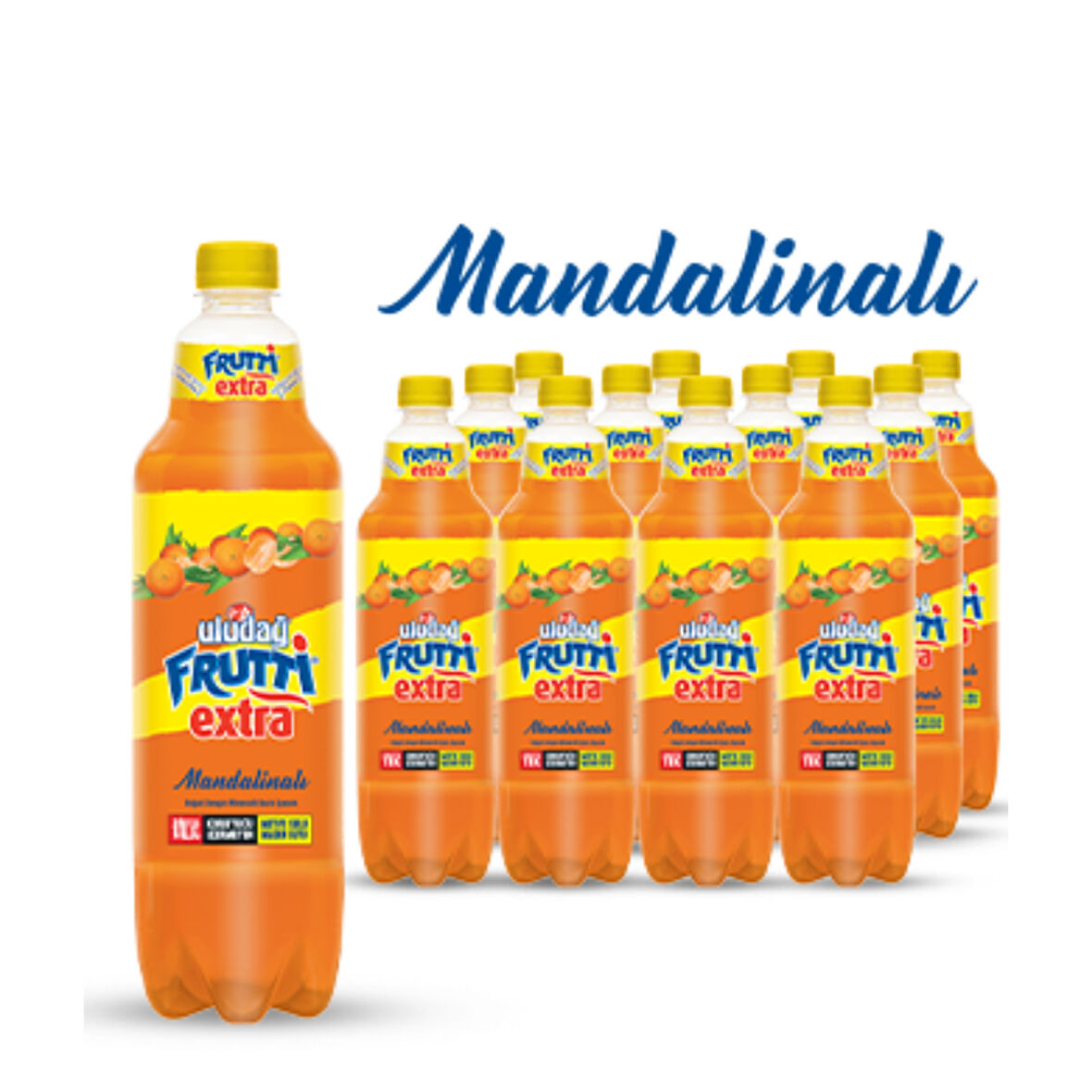 Frutti Extra Mandalina Pet 1 LT 12'li Paket